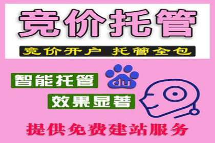 SEM外包公司案例：助力企业提升品牌知名度